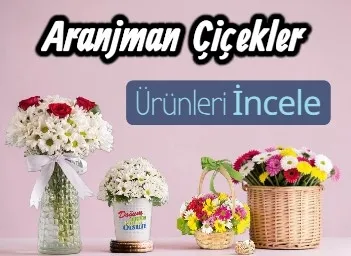ARAJMANLAR