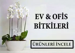 Buketler
