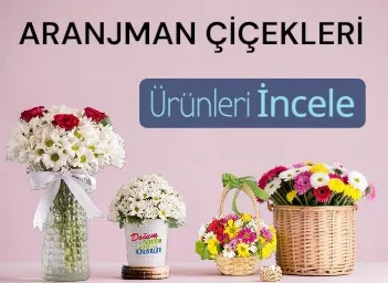 ARAJMANLAR